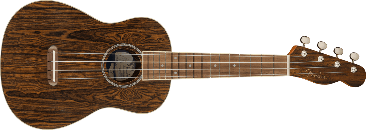 Fender Zuma Exotic Concert Ukulele, front view