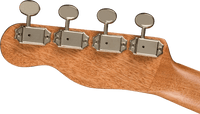 Fender Zuma Exotic Concert Ukulele
