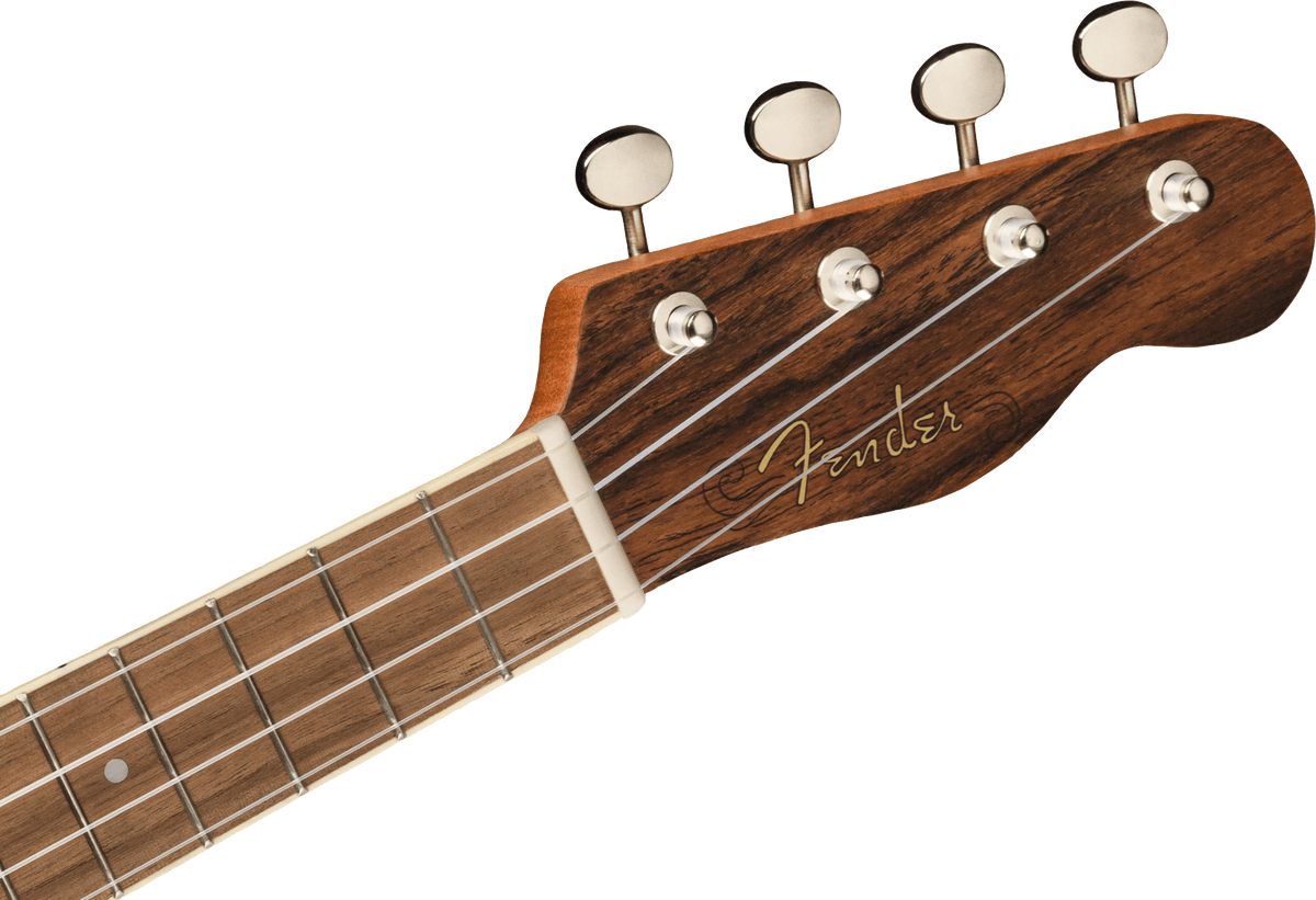 Fender Zuma Exotic Concert Ukulele