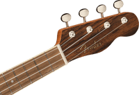 Fender Zuma Exotic Concert Ukulele