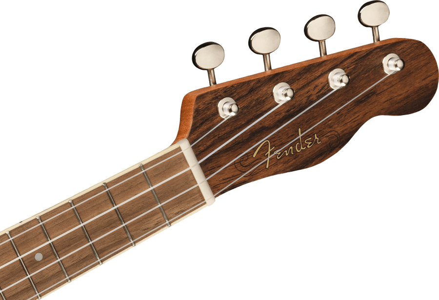 Fender Zuma Exotic Concert Ukulele
