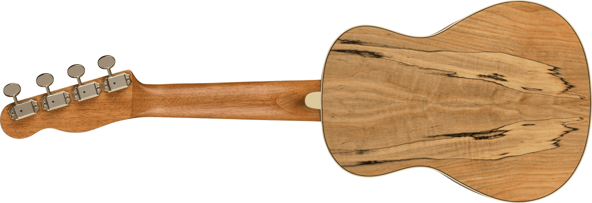 Fender Zuma Exotic Concert Ukulele, back view