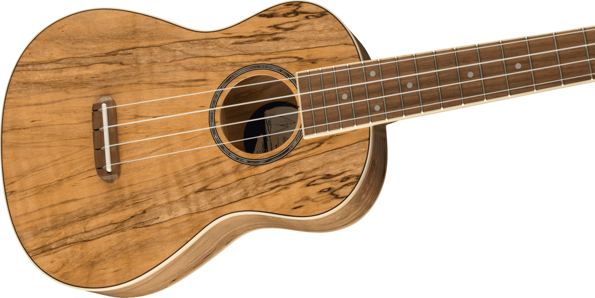 Fender Zuma Exotic Concert Ukulele, body detail
