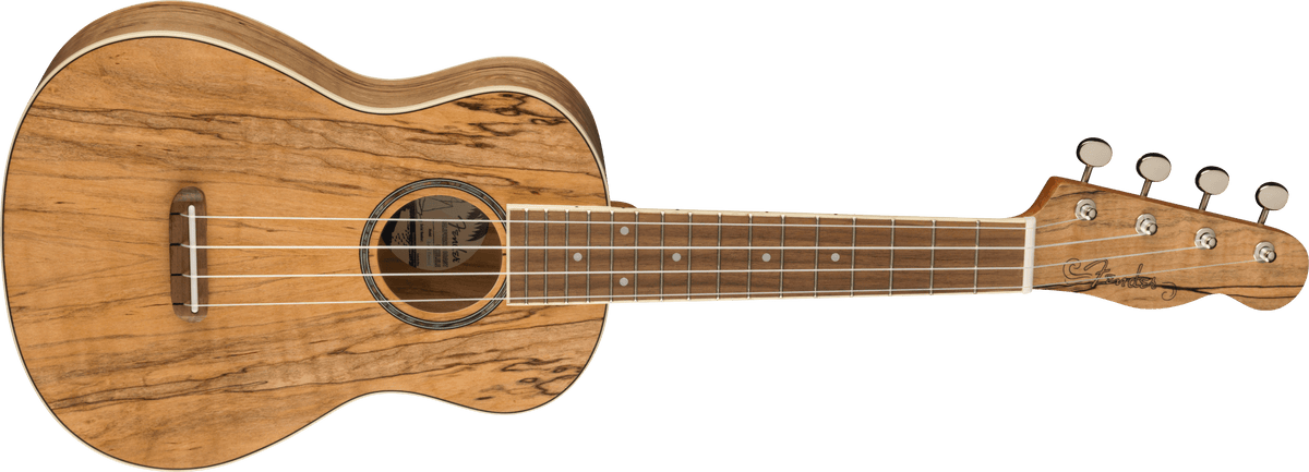 Fender Zuma Exotic Concert Ukulele