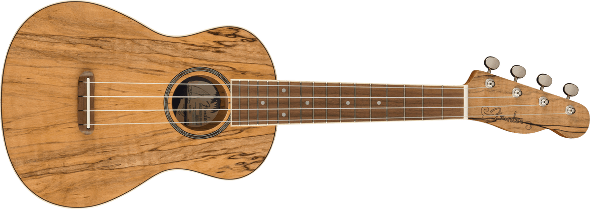 Fender Zuma Exotic Concert Ukulele, front view