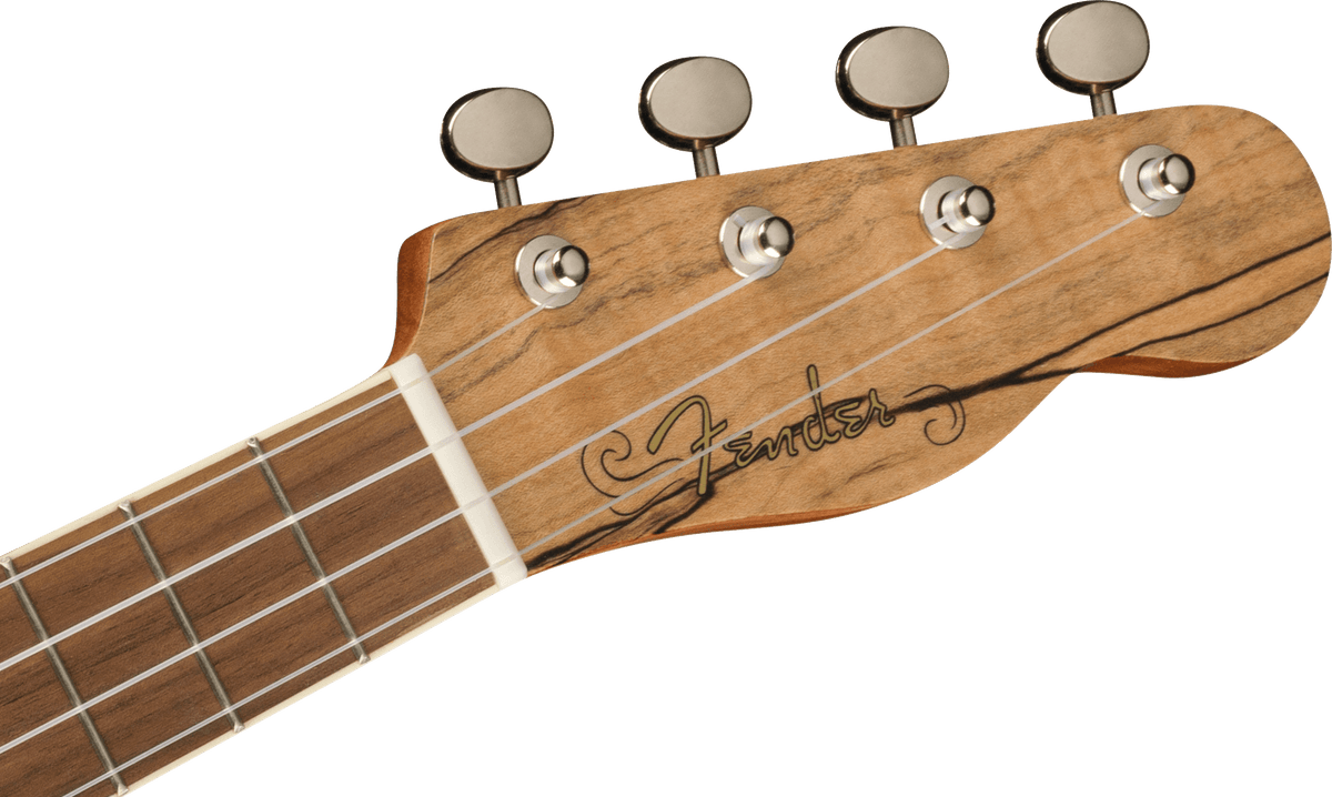 Fender Zuma Exotic Concert Ukulele, headstock, front