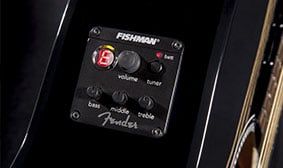 Fishman preamp with built-in tuner