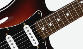Pau Ferro Fingerboard