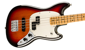 ALDER BODY