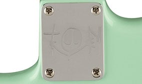 CUSTOM TOM DELONGE NECK PLATE