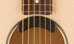 Fishman Fluence Acoustic Electronics