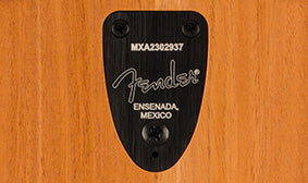 Made in Mexico