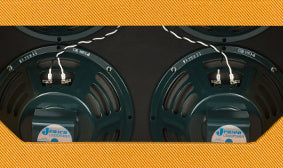 JENSEN P-10R ALNICO SPEAKERS