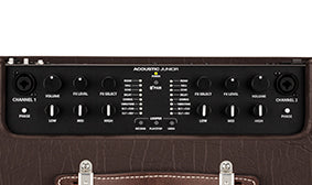 TWO IDENTICAL CHANNELS, INTERCHANGEABLE FOR INSTRUMENTS AND/OR VOCALS