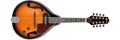 Ibanez M510E Mandolin Without Case