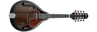 Ibanez M510E Mandolin Without Case
