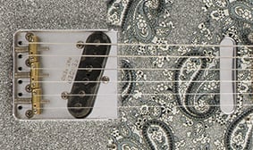 PAISLEY-APPROVED ELECTRONICS