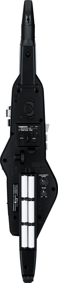 Roland Aerophone AE-20 Digital Wind Instrument