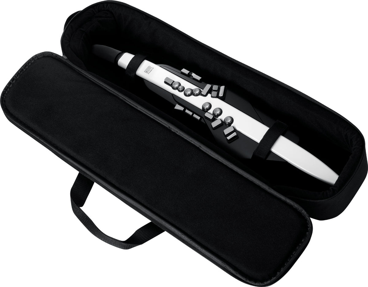 Roland Aerophone AE-20 Digital Wind Instrument