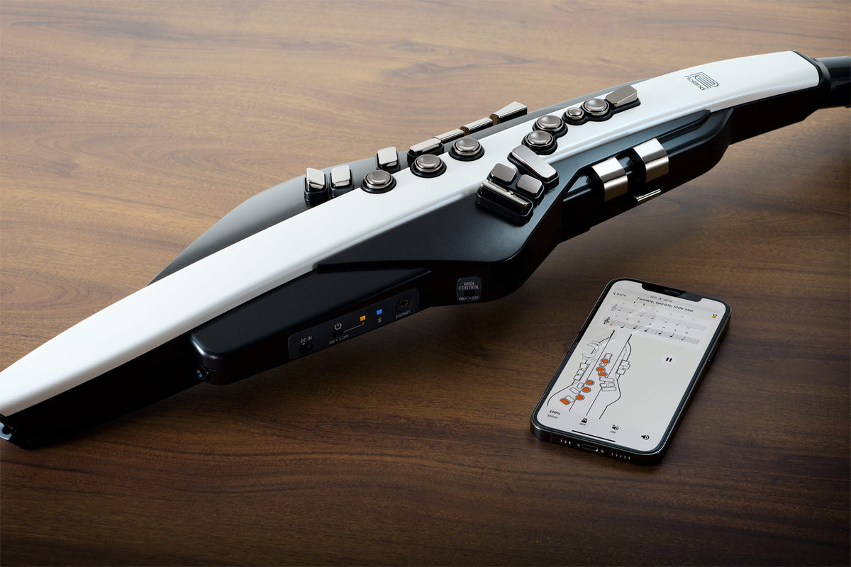 Roland Aerophone AE-20 Digital Wind Instrument