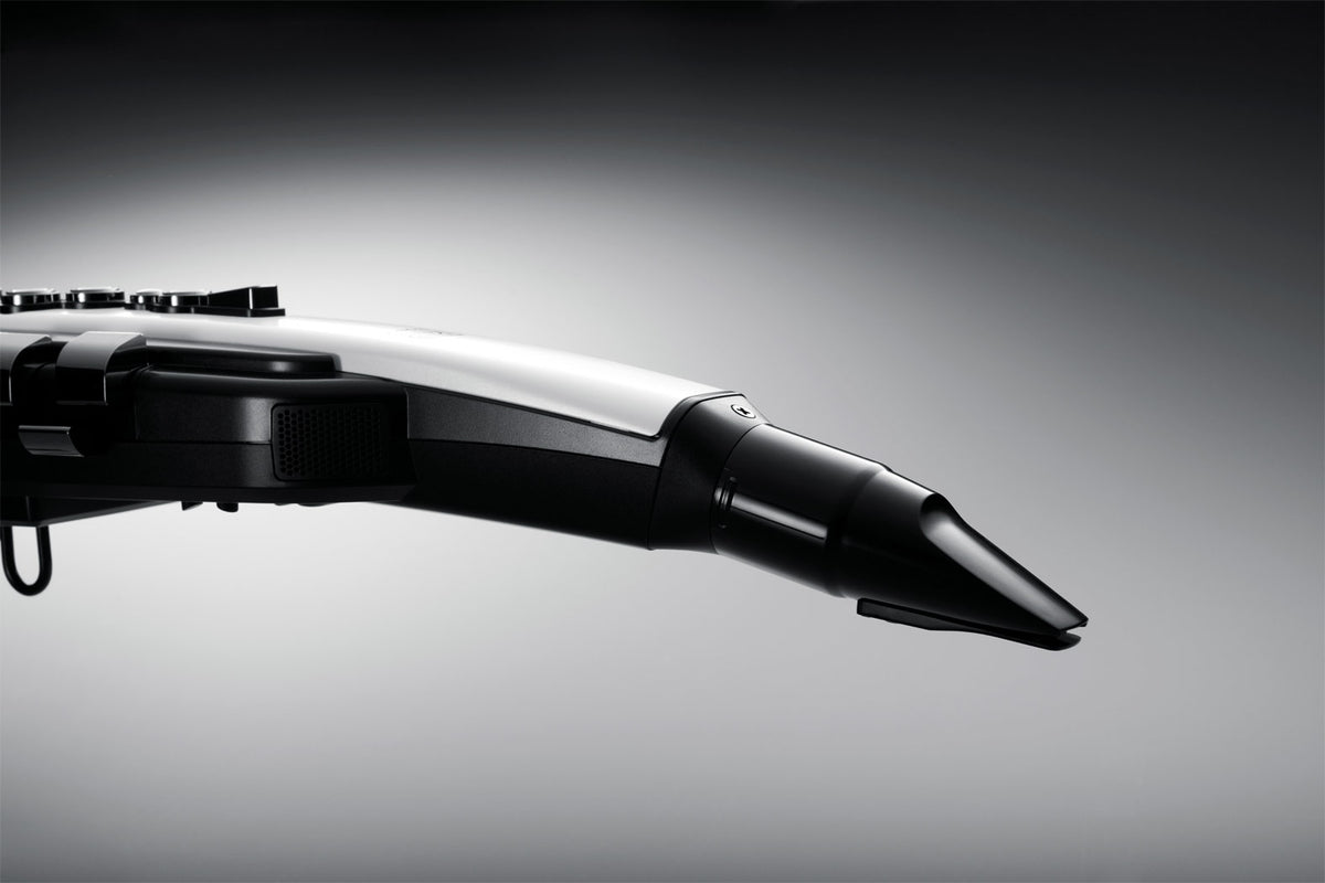 Roland Aerophone AE-20 Digital Wind Instrument