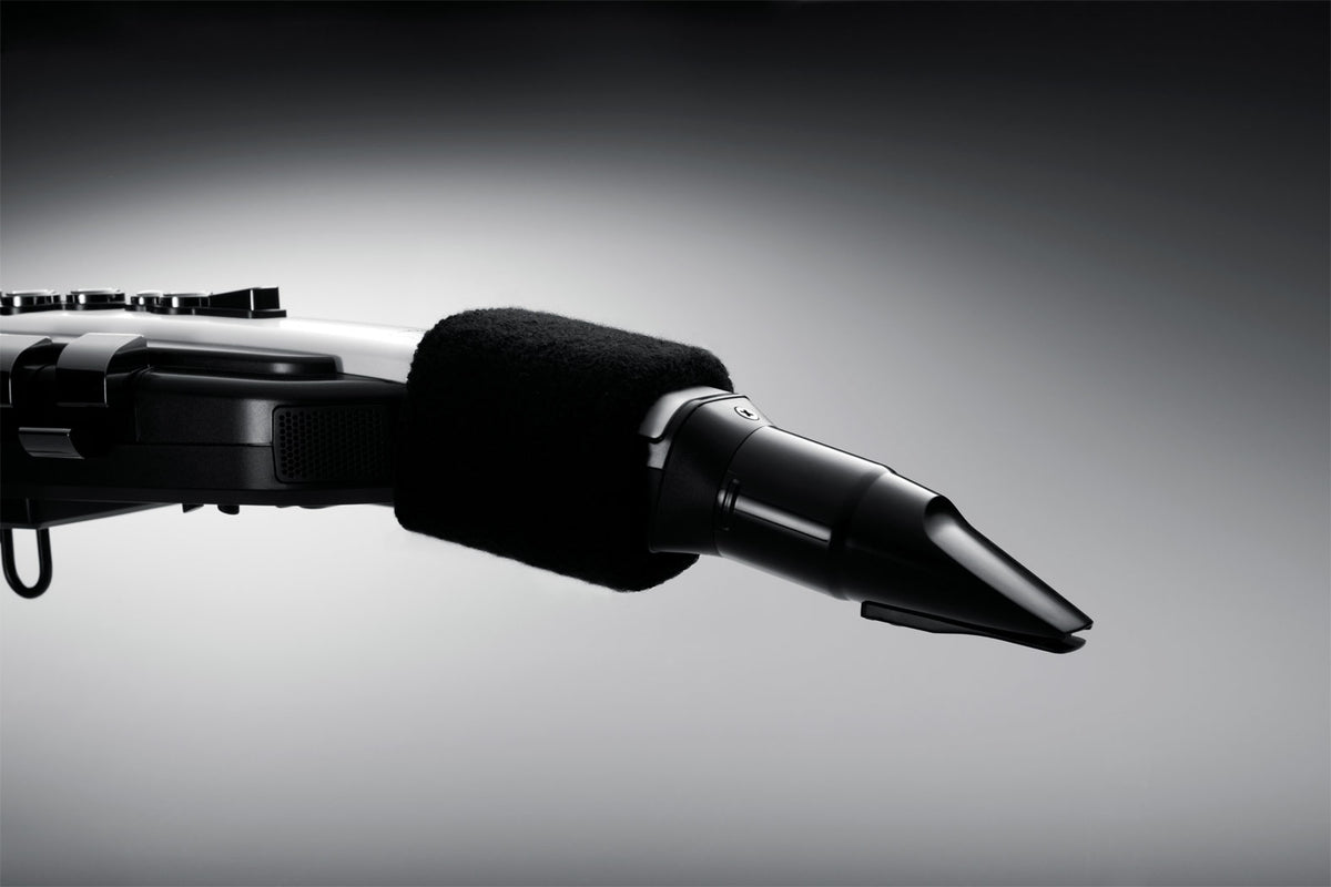 Roland Aerophone AE-20 Digital Wind Instrument