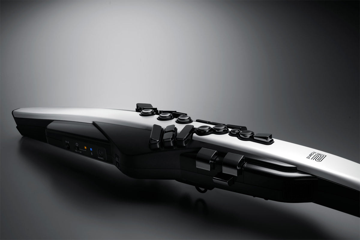 Roland Aerophone AE-20 Digital Wind Instrument
