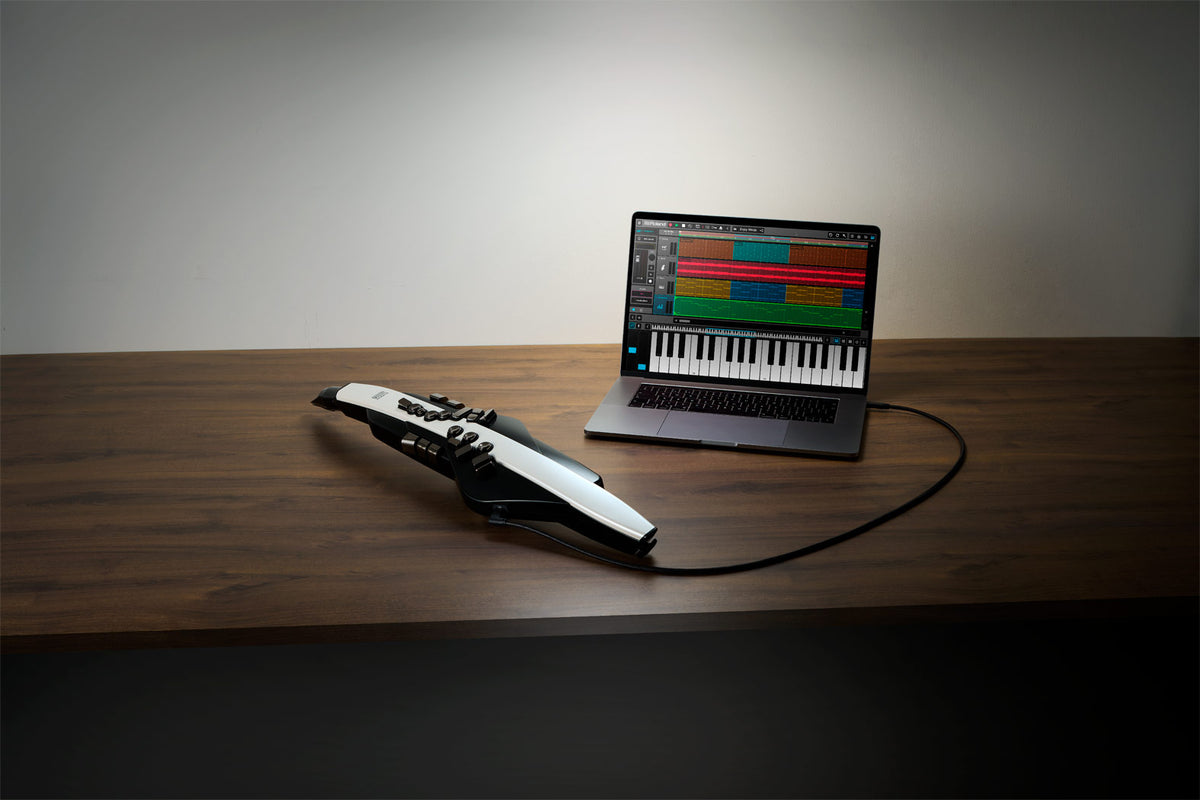 Roland Aerophone AE-20 Digital Wind Instrument
