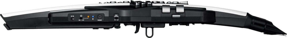 Roland Aerophone AE-20 Digital Wind Instrument