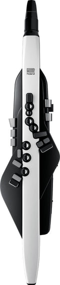 Roland Aerophone AE-20 Digital Wind Instrument