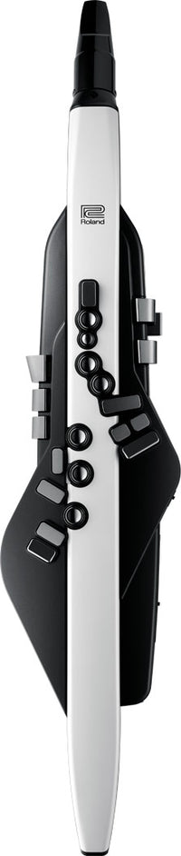 Roland Aerophone AE-20 Digital Wind Instrument