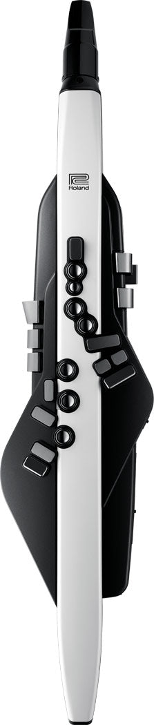 Roland Aerophone AE-20 Digital Wind Instrument