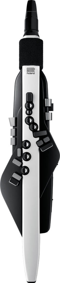 Roland Aerophone AE-20 Digital Wind Instrument