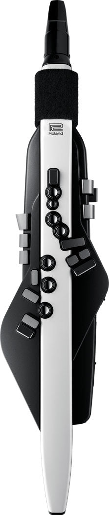 Roland Aerophone AE-20 Digital Wind Instrument