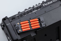 Roland CUBE Street EX Multi-Instrument Battery Amplifier
