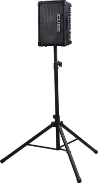 Roland CUBE Street EX Multi-Instrument Battery Amplifier