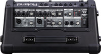 Roland CUBE Street EX Multi-Instrument Battery Amplifier