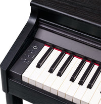 Roland RP701 Digital Piano