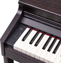 Roland RP701 Digital Piano
