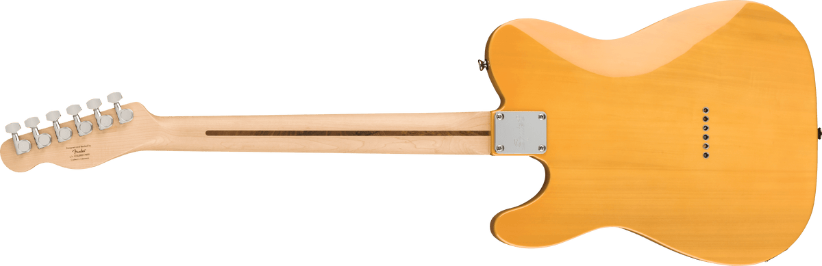 Squier Affinity Series Telecaster, back view