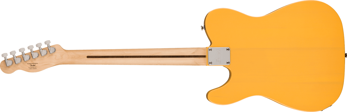 Squier Sonic Telecaster, back view