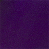 Nightshade Purple