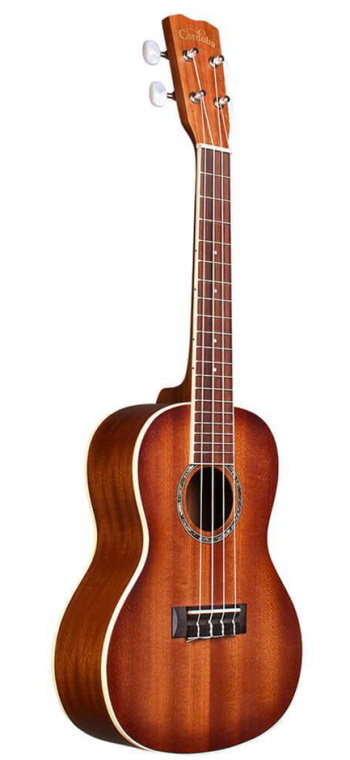 Cordoba ukulele online concert