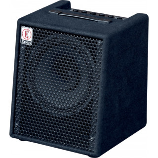 10 inch bass amp