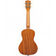 KALA Surf Series Dawn Patrol Concert Ukulele