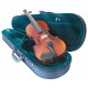 Raggetti RV5 4/4 Violin