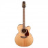 Takamine G70 Series Jumbo AC/EL Guitar with Cutaway  TGJ72CENAT