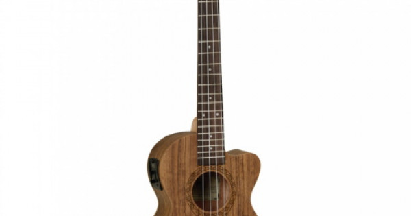 Tanglewood twt14e outlet