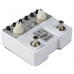 Mooer ReEcho Pro Delay