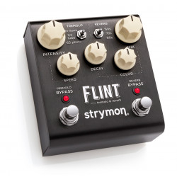 Strymon Flint tremolo/reverb